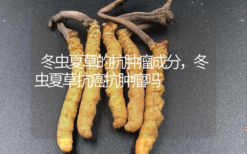 冬蟲夏草的抗腫瘤成分，冬蟲夏草抗癌抗腫瘤嗎？