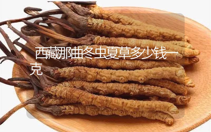 西藏那曲冬蟲夏草多少錢一克？