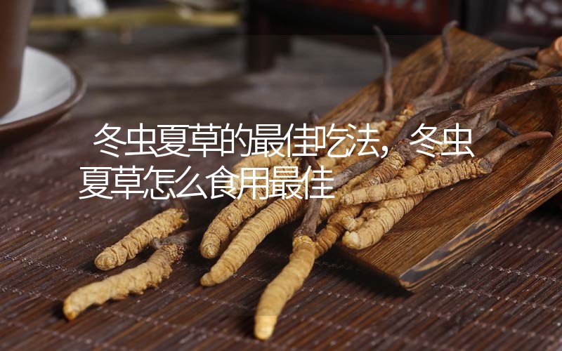 冬蟲夏草的最佳吃法，冬蟲夏草怎么食用最佳