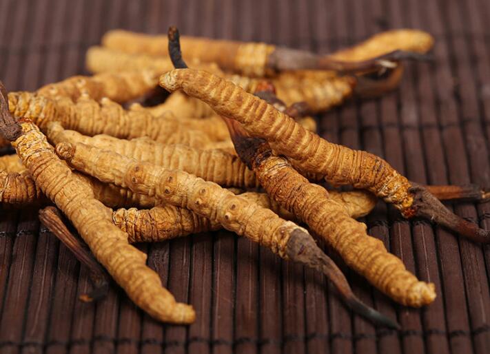 什么樣的冬蟲(chóng)夏草算是優(yōu)質(zhì)的？