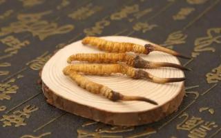 冬蟲夏草每天吃多少好？