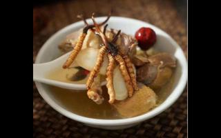 冬蟲(chóng)夏草鴿子湯怎么做？