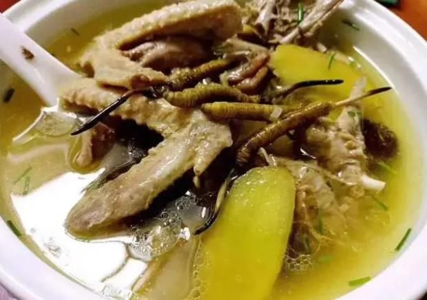 冬蟲夏草和哪些食材可以一起煲湯？