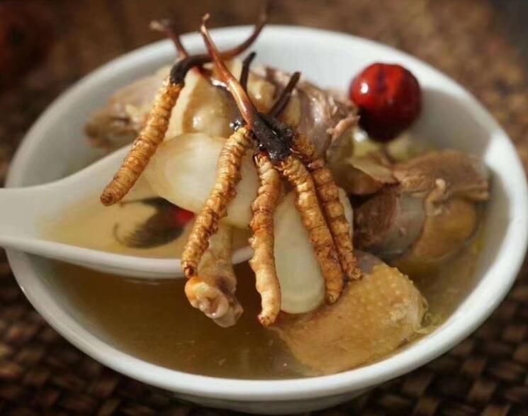 冬蟲夏草可以飯后吃嗎？