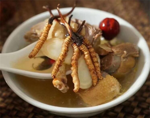 小孩子可以吃冬蟲夏草嗎？