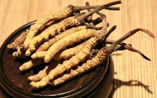 冬蟲夏草的價(jià)格一克：為何如此昂貴？