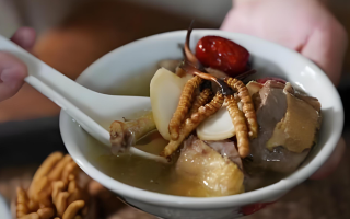 冬蟲夏草搭配有道，滋養(yǎng)肺部效果妙