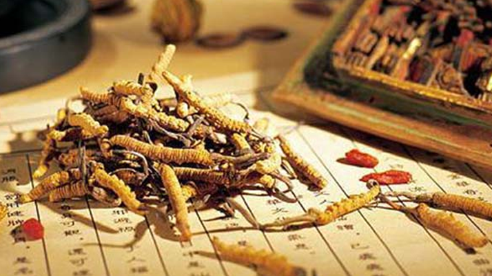 同仁堂健康冬蟲夏草：傳承品質(zhì)，饋贈(zèng)健康