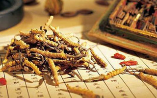 同仁堂健康冬蟲(chóng)夏草：傳承品質(zhì)，饋贈(zèng)健康