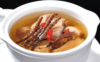 冬蟲夏草煲湯的最佳季節(jié)，喝對事半功倍