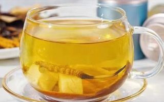 冬蟲夏草可以直接泡水喝嗎？科學(xué)解析與正確方法