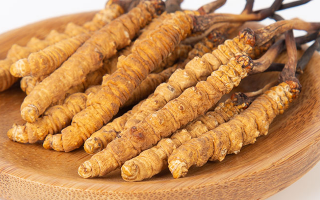 冬蟲夏草怎么驗真假？教你幾招秒判斷真?zhèn)蚊丶?> </div>
            <div   id=
